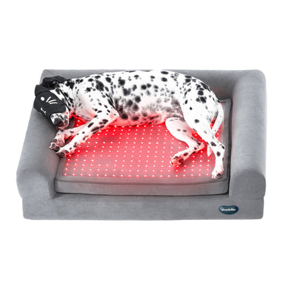 Dog enjoying a nap and healing on a Beddie Therapy Bed