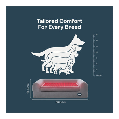 Beddie fits all dog sizes image