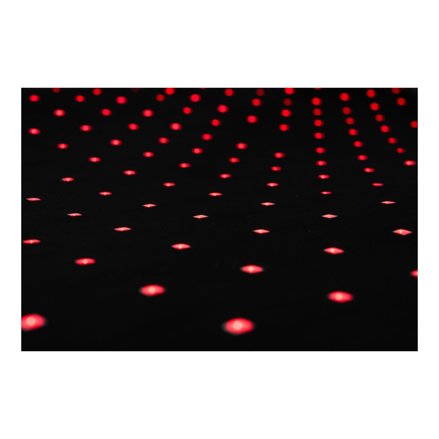 Beddie™ Pet Therapy Bed — Red Light, Near-Infrared & PEMF Therapy for Dogs