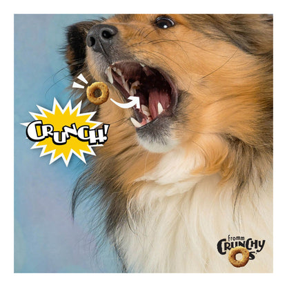 Fromm Crunchy Os Blueberry Blasts Dog Treats