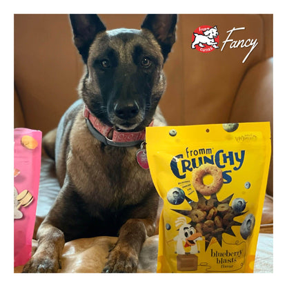 Fromm Crunchy Os Blueberry Blasts Dog Treats