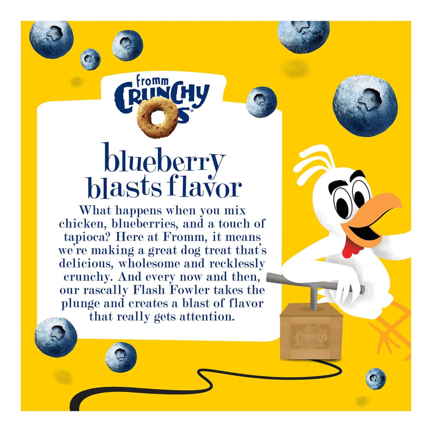 Fromm Crunchy Os Blueberry Blasts Dog Treats