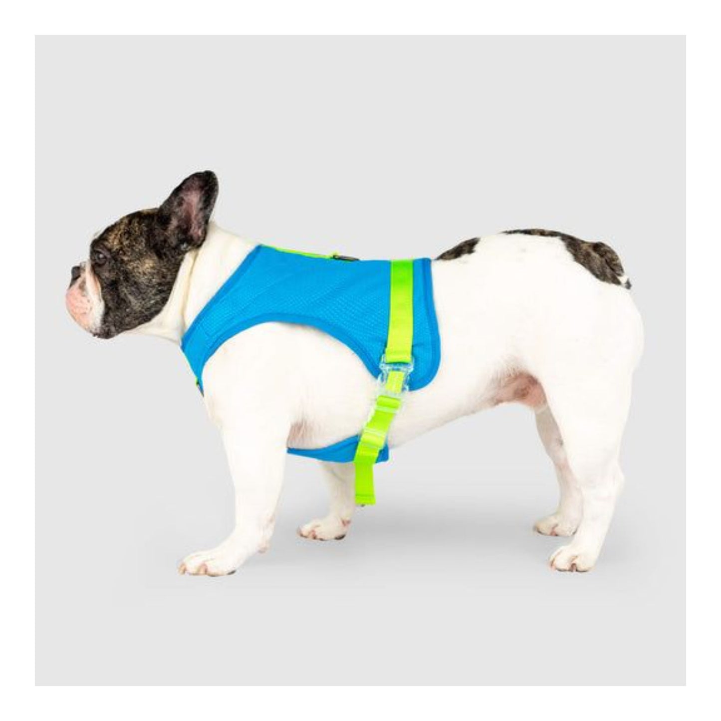 Chill Seeker Cooling Harness