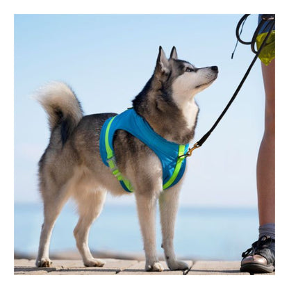 Chill Seeker Cooling Harness