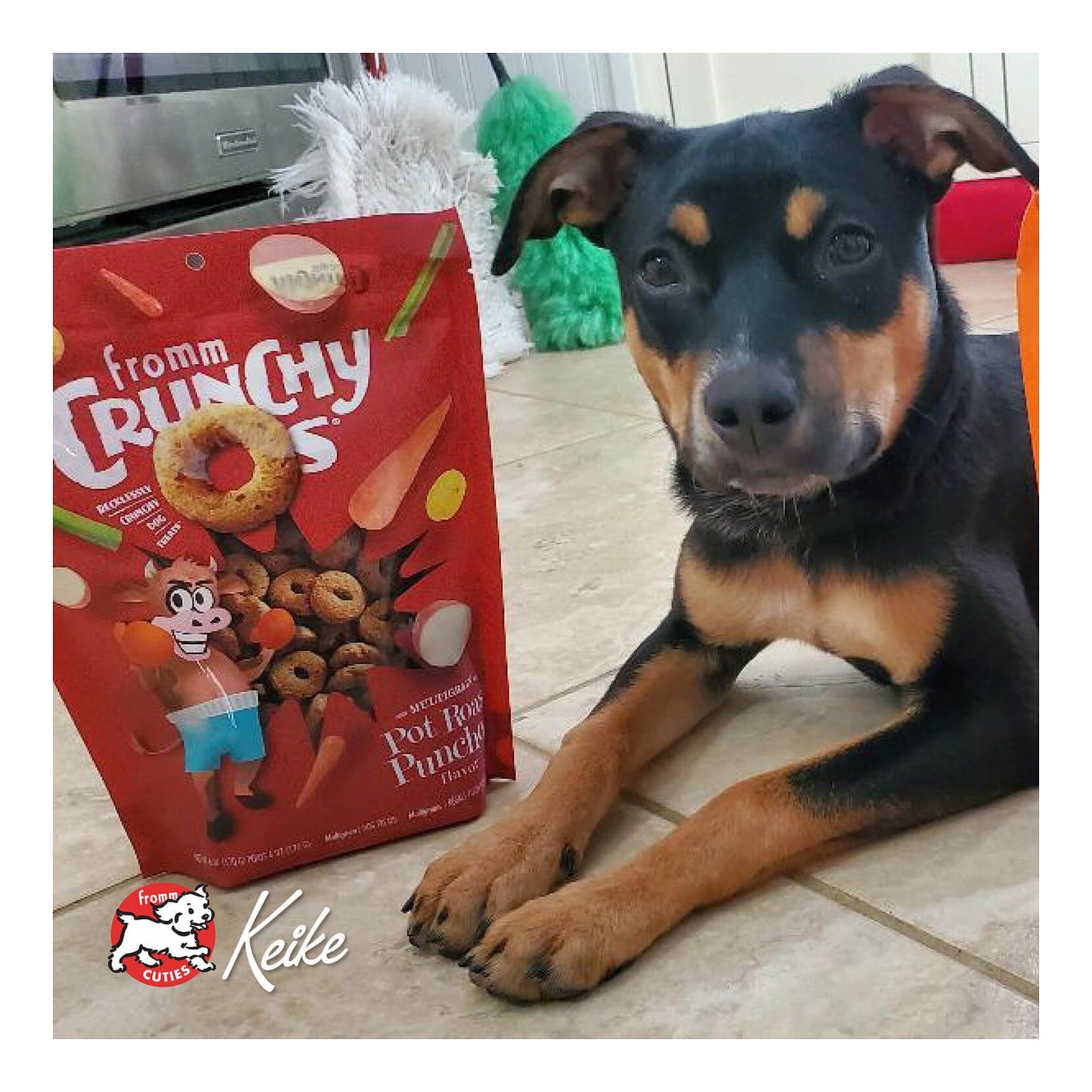 Fromm Crunchy O's Treats - Pot Roast Punchers Flavor