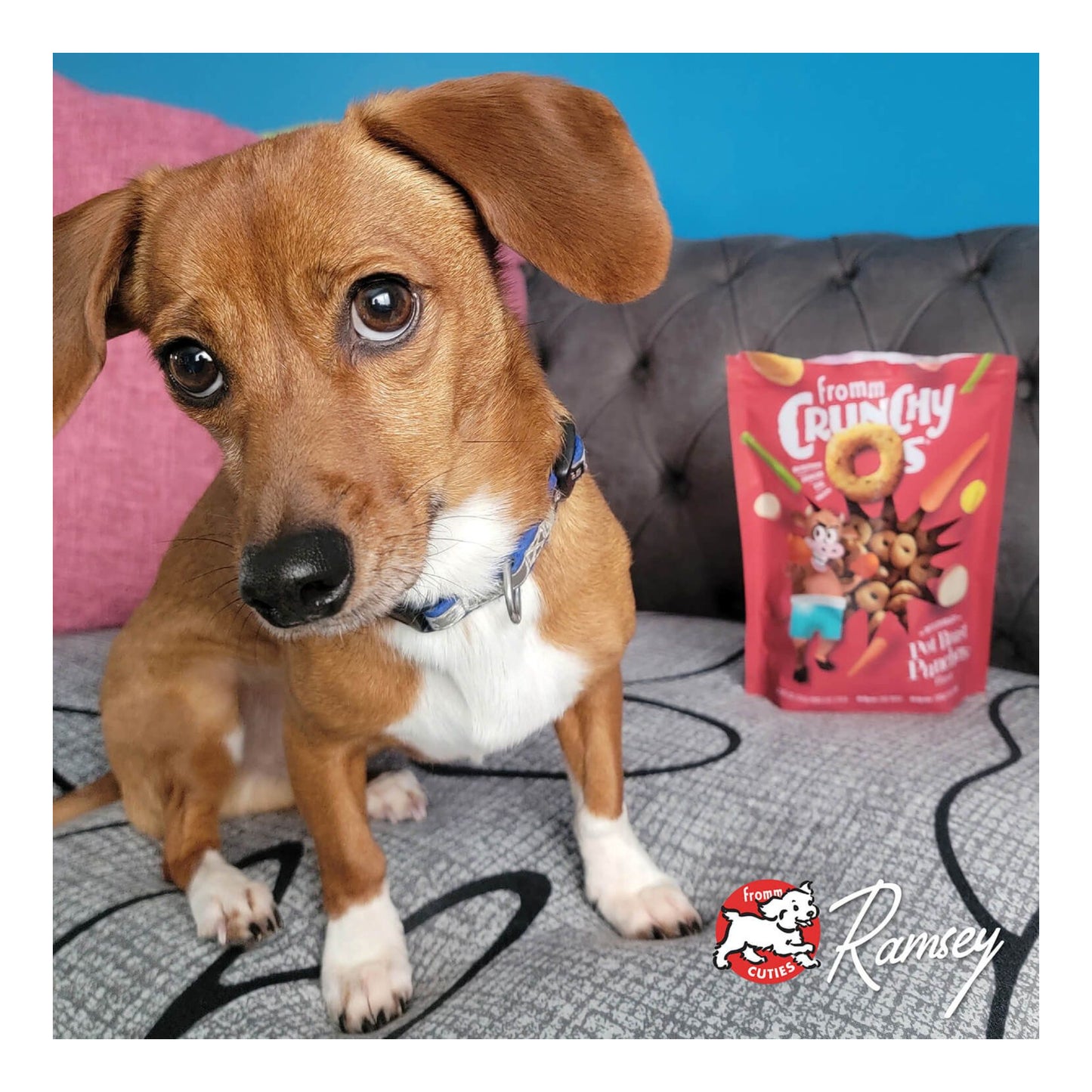 Fromm Crunchy O's Treats - Pot Roast Punchers Flavor
