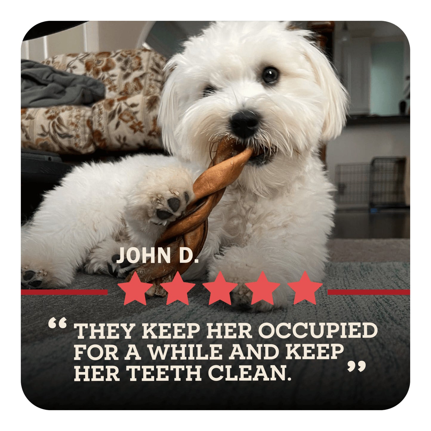 Redbarn Beef Collagen Braid Chews