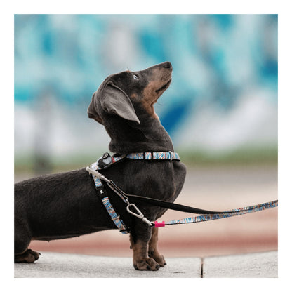 Soundshield MINI - 24/7 Ultrasonic Technology Against Ticks & Fleas
