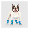 Hot Pavement Dog Boots